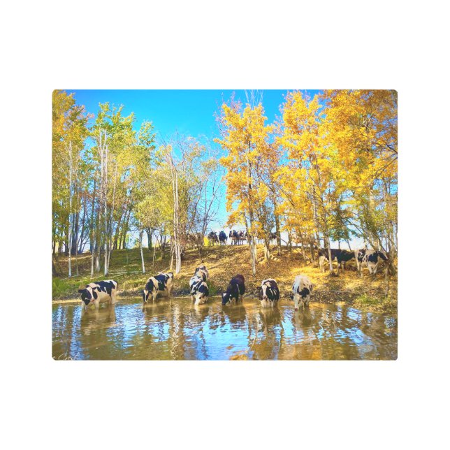 Cows in Autumn at the Pond Metal Print (Front)