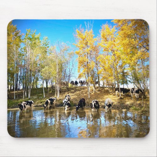 Cows in Autumn at the Pond Mouse Pad