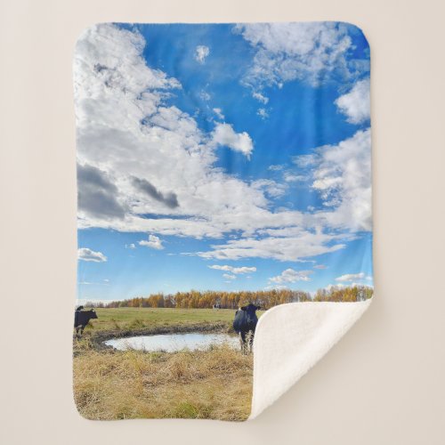 Cows in Autumn at the Pond Sherpa Blanket