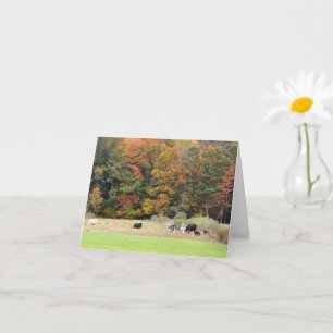 Cows In Field Autumn Foliage Photography Note Card
