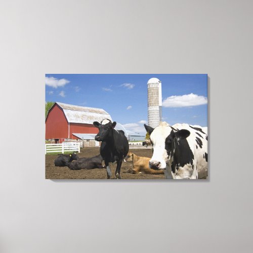 Cows in front of a red barn and silo on a farm 2 canvas print