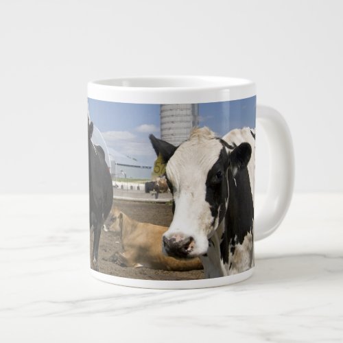 Cows in front of a red barn and silo on a farm 2 giant coffee mug