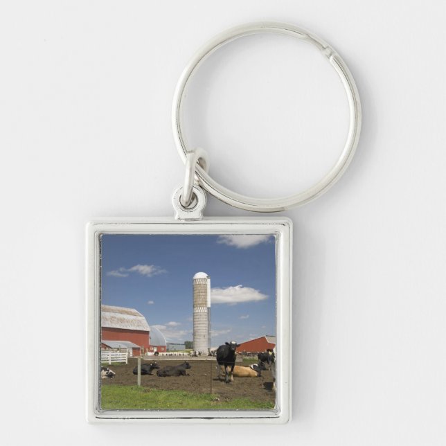 Cows in front of a red barn and silo on a farm keychain (Front)