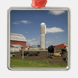 Cows in front of a red barn and silo on a farm metal ornament