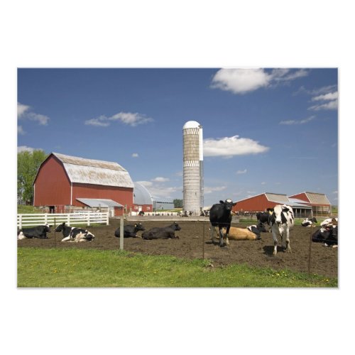 Cows in front of a red barn and silo on a farm photo print