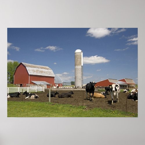 Cows in front of a red barn and silo on a farm poster