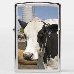 Cows in front of a red barn and silo on a farm zippo lighter