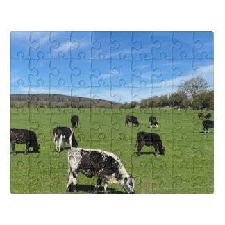 Cows in Green Pasture in Ireland Jigsaw Puzzle