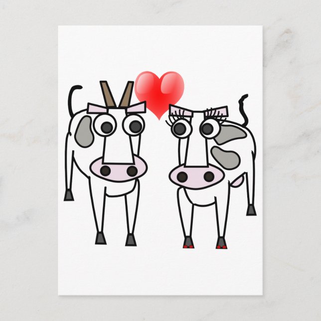 Cows in Love Postcard (Front)