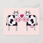 Cows In Love Postcard at Zazzle