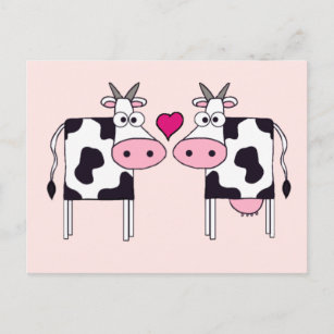 Cows in Love Postcard