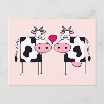 Cows In Love Postcard by mail_me at Zazzle