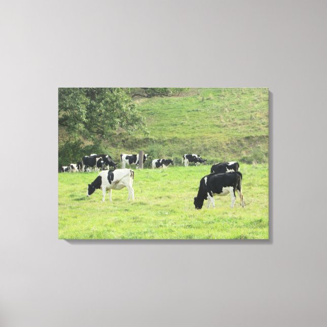 Cows in the Country Pasture Photo Wall Canvas Art (Front)