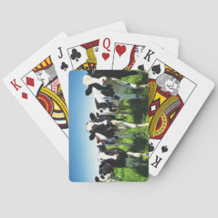 Cows in the field, Betsukai town, Hokkaido Poker Cards