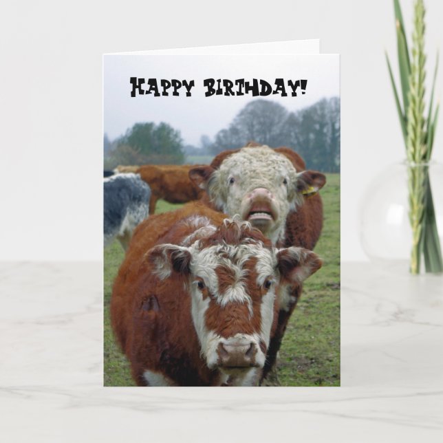 cows in the field card (Front)