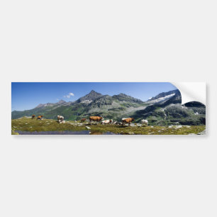 Cows In The Mountains Bumper Sticker