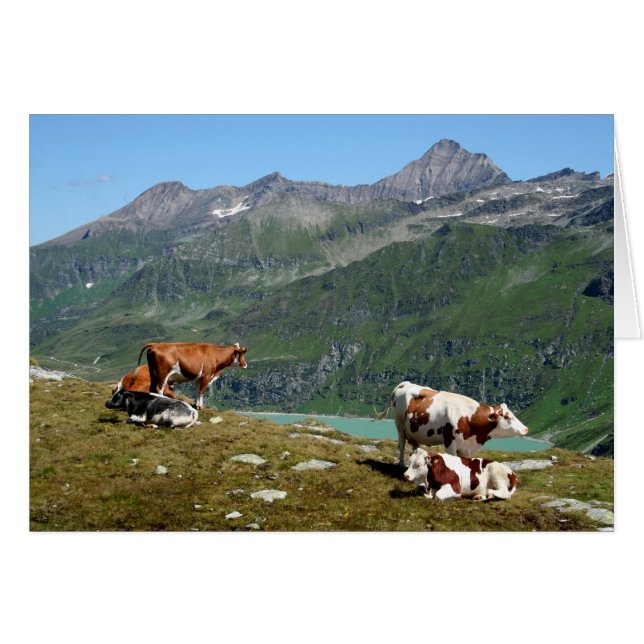 Cows In The Mountains Cards (Front Horizontal)