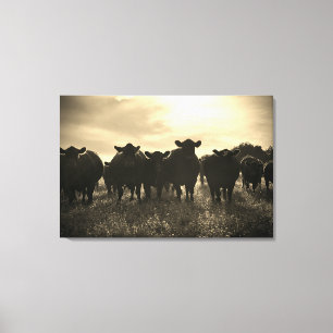 Cows in the Pasture - Sepia Tone Canvas Print