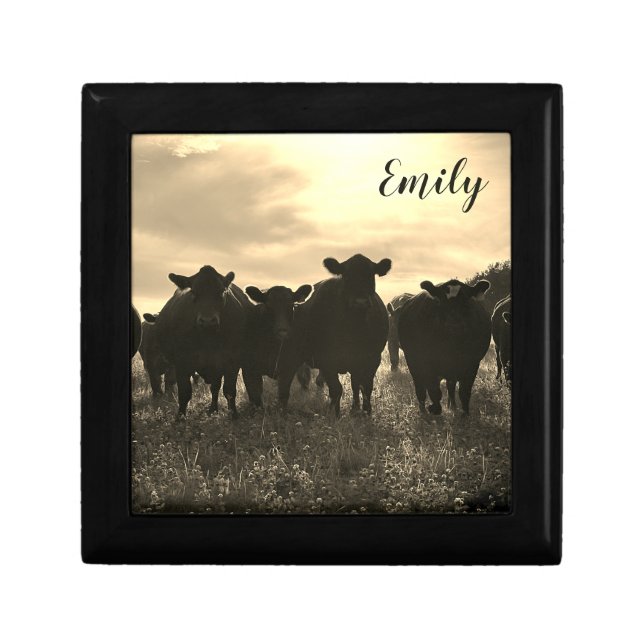 Cows in the Pasture - Sepia Tone Gift Box (Front)
