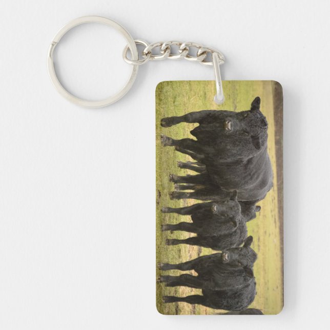 Cows in the rain keychain (Front)