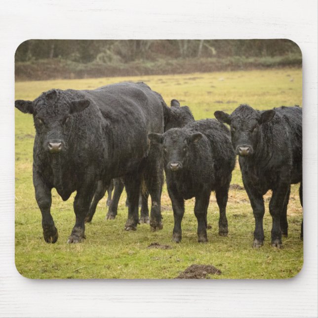 Cows in the rain mouse pad (Front)