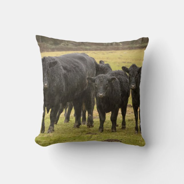 Cows in the rain throw pillow (Front)