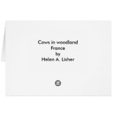 Cows in woodland, France (Back Horizontal)