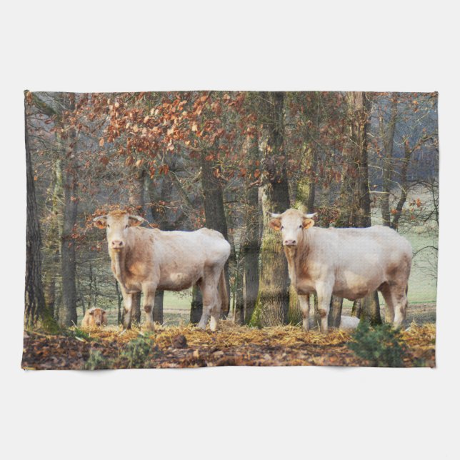 Cows in woodland kitchen towel (Horizontal)