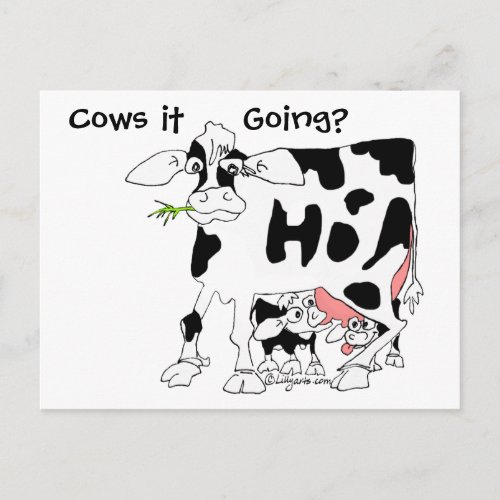 Cows it Going Postcard