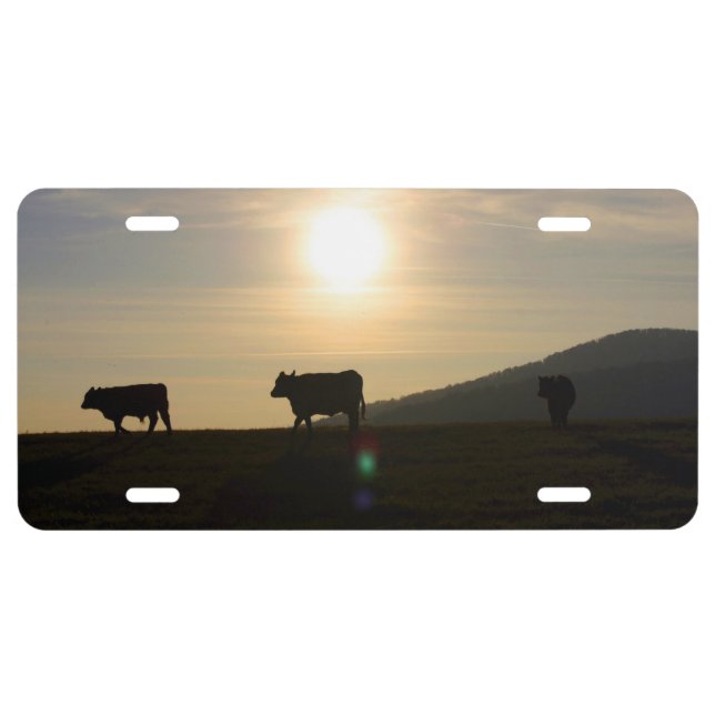 Cows License Plate (Front)