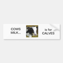COUN0006 Stickers & Signs Cattle 