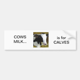 Cows milk is for calves bumper sticker