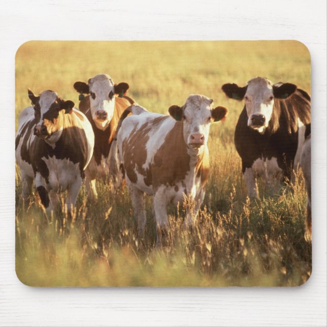 Cows Mouse Pad (Front)