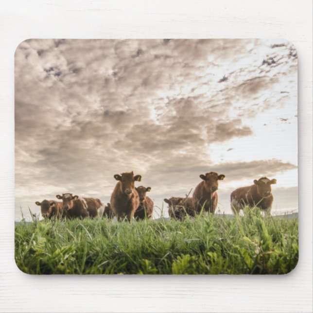 Cows Mouse Pad (Front)