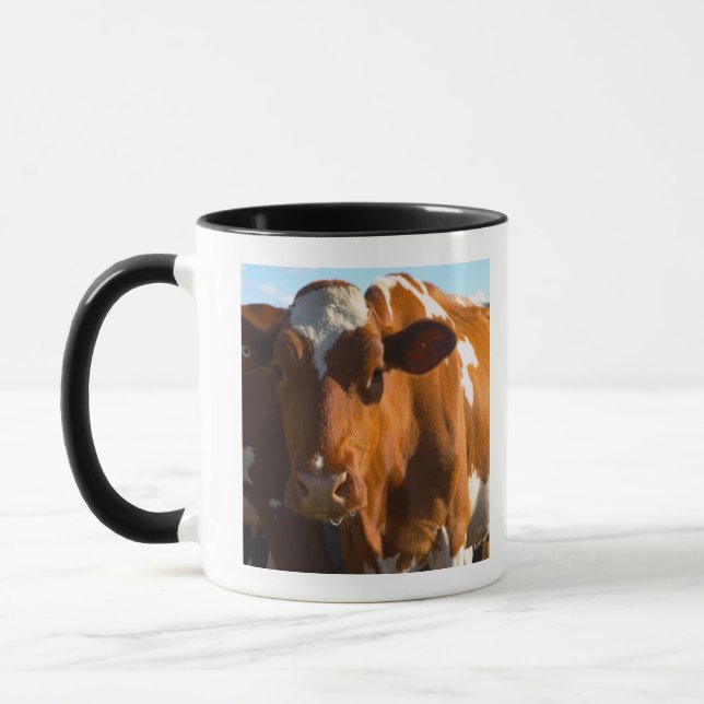 Cows on farm mug (Left)