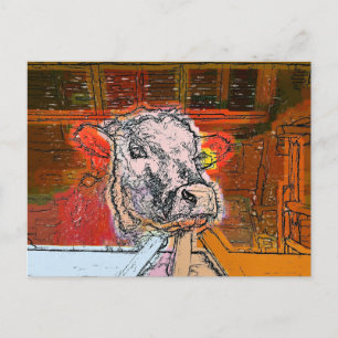 COWS POSTCARD