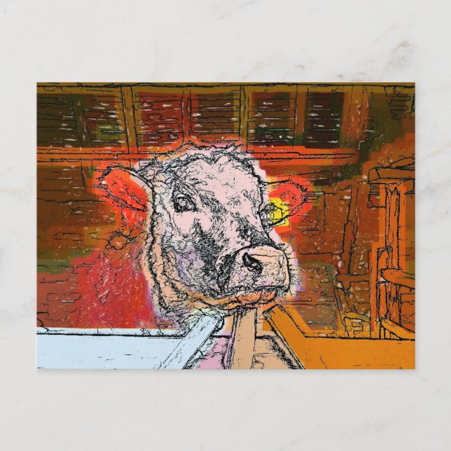 COWS POSTCARD (Front)