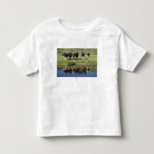 Cows reflected in canal, Henley, Taieri Plain, Toddler T-shirt