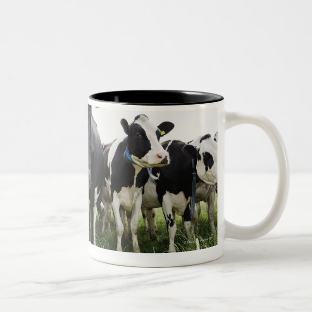 Cows standing in a row looking at camera Two-Tone coffee mug (Right)