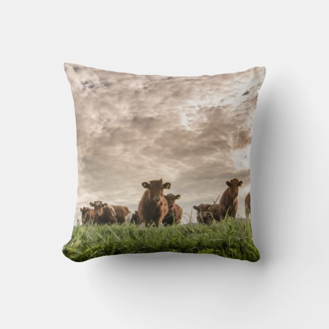 Cows Throw Pillow (Front)