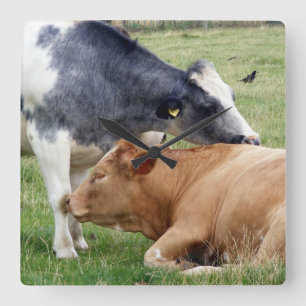 Cows Wall Clock