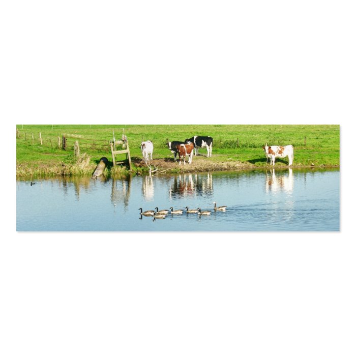 Cows watching Ducks in River Photo Bookmarks Cards Business Card Templates