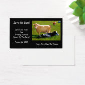 COWS: WEDDING:FARM: SAVE DATE CARD (Desk)