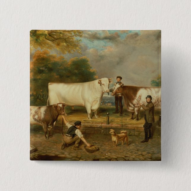 Cows with a herdsman button (Front)