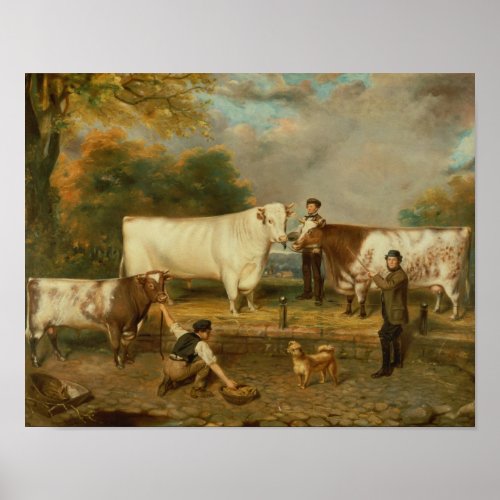 Cows with a herdsman poster