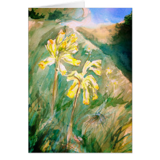 Cowslips Primula veris on a grassy bank Card