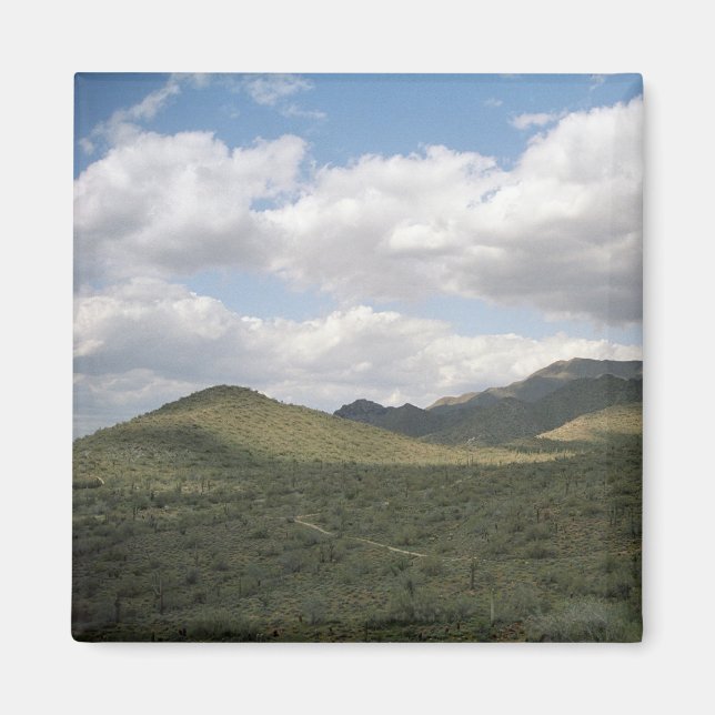 Cowyboy Skyline Desert Refrigerator Magnet (Front)
