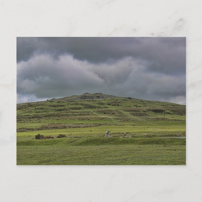 Cox Tor, Dartmoor, Devon, Postcard (Front)