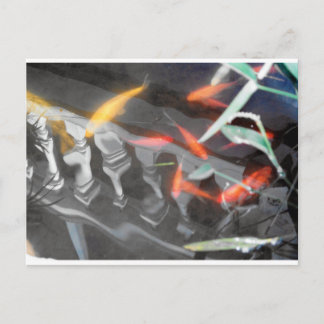 Coy Reflection Postcard