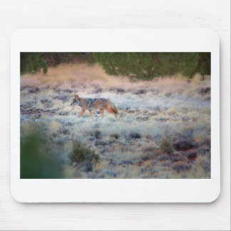 Coyote at dusk mouse pad